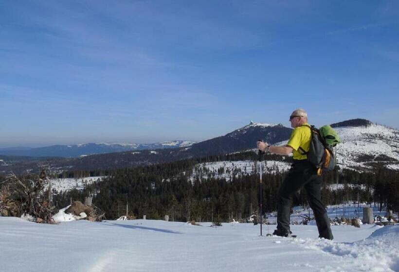 Pension Haus Waldesruh