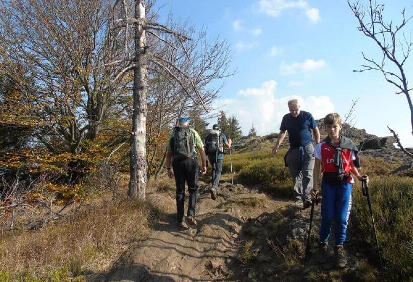 Pension Haus Waldesruh