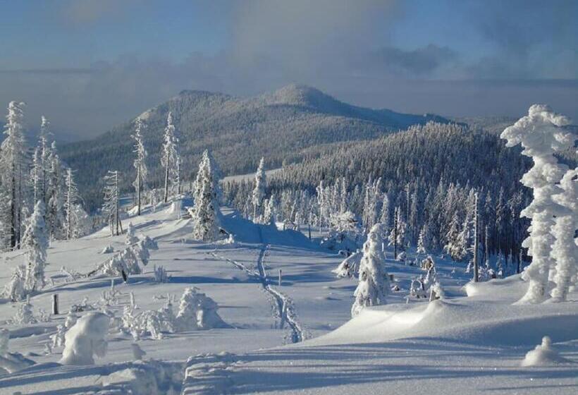 Pension Haus Waldesruh