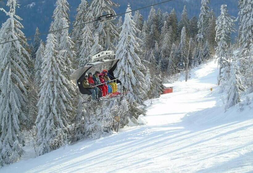 Pension Haus Waldesruh