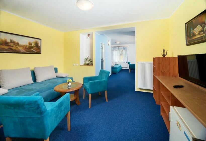 Pension Jana   Wellness