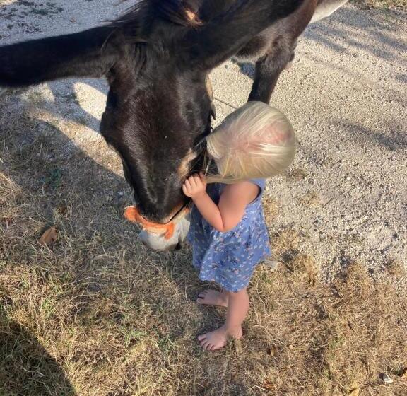 Agriturismo La Casa Del Mandorlo