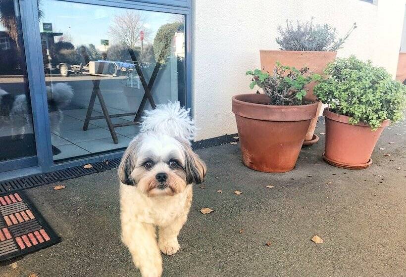 Bella Vista Motel Ashburton