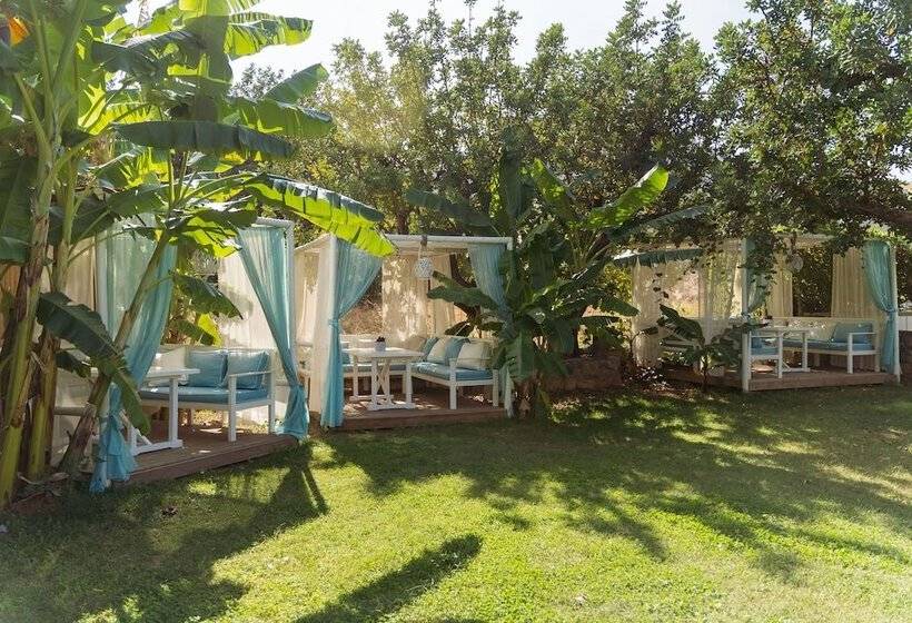 ホテル Bali Star Resort