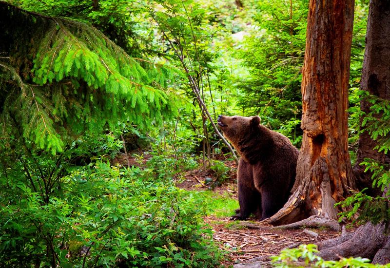 Отель Best Western  Antoniushof