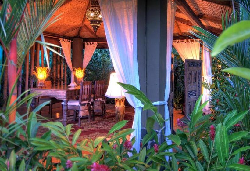 Casa Chameleon Hotel Mal Pais   Adults Only