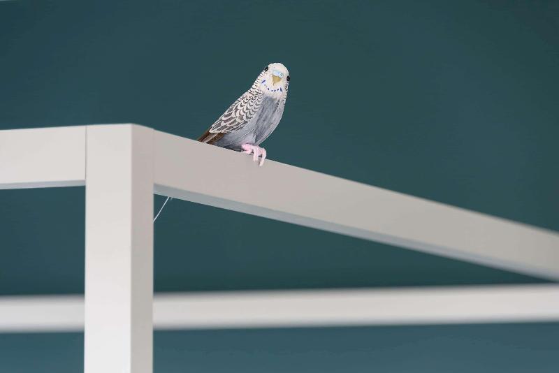 בית מלון כפרי Comwell Aarhus Dolce By Wyndham