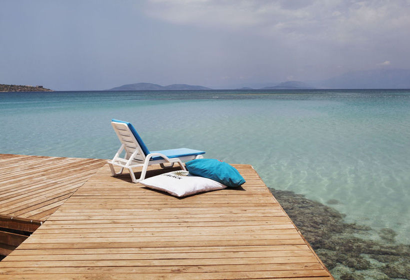 酒店 Corendon Mi Playa