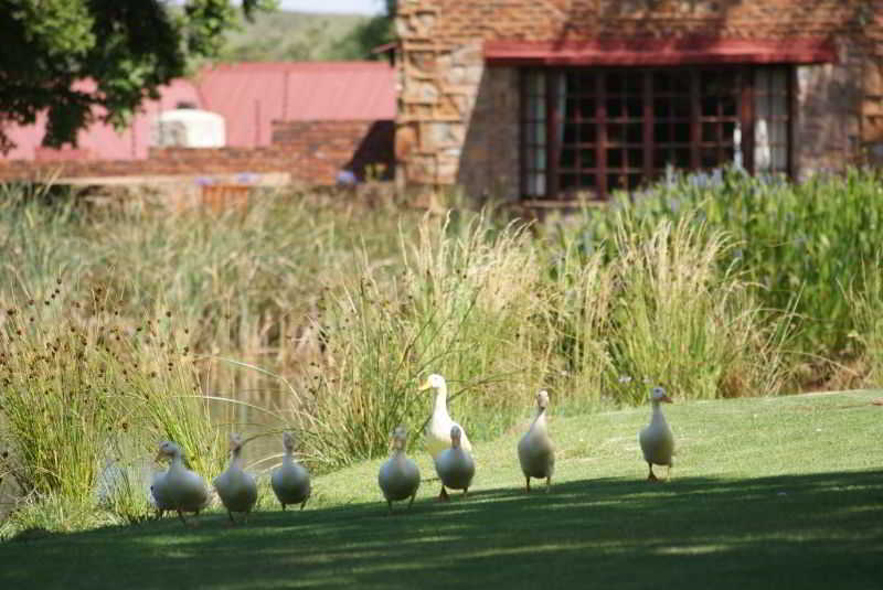 호텔 Critchley Hackle