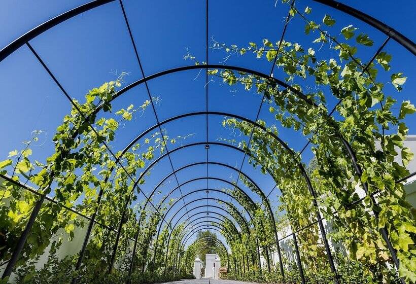 בית מלון כפרי Drostdy