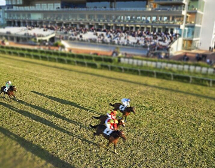 Eureka Palace Hotel Spa Resort