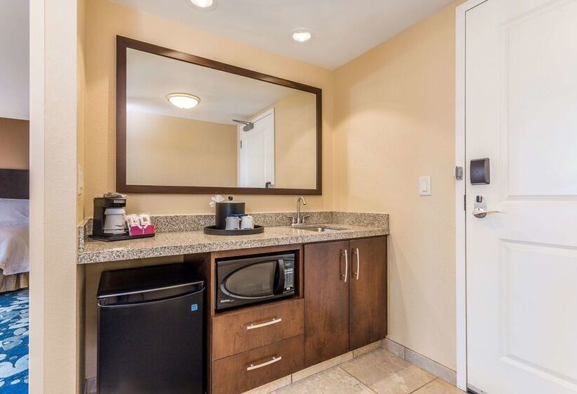 ホテル Hampton Inn & Suites Madison / Downtown