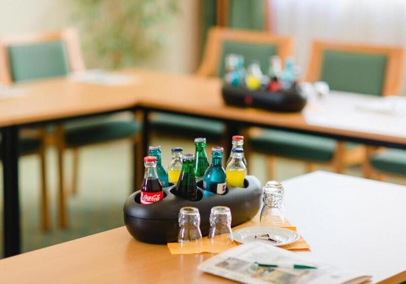 Отель Herzog Georg