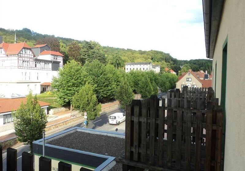 Отель Herzog Georg