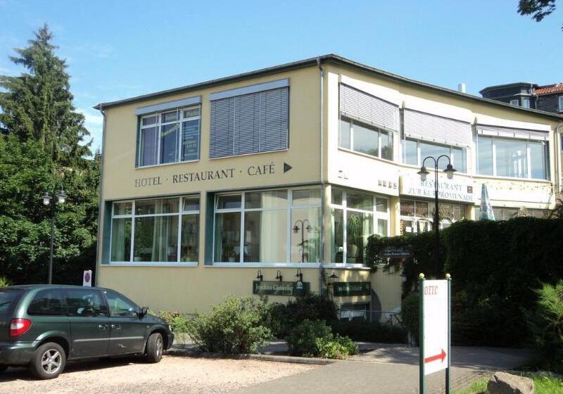 Отель Herzog Georg