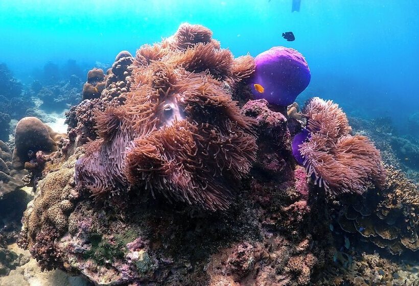 Отель Hyatt Regency Phuket Resort