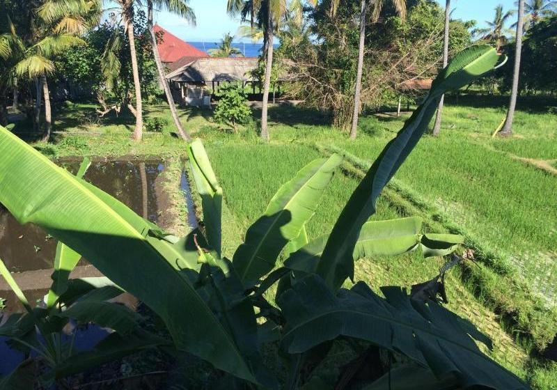 酒店 Kangkung Cottage