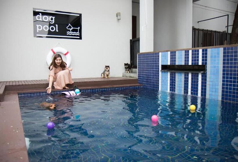 فندق Ketawa Pet Friendly