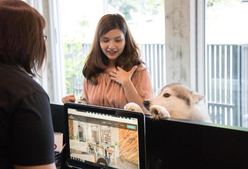 فندق Ketawa Pet Friendly