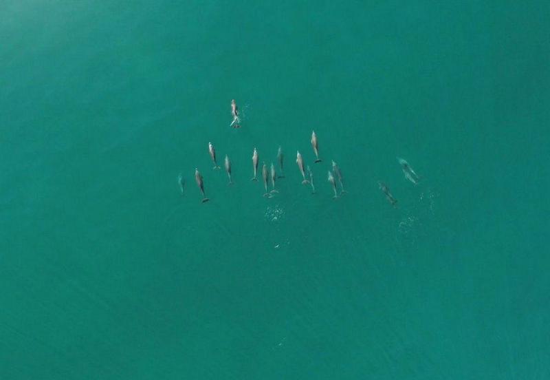 هتل Lennox Beach Resort