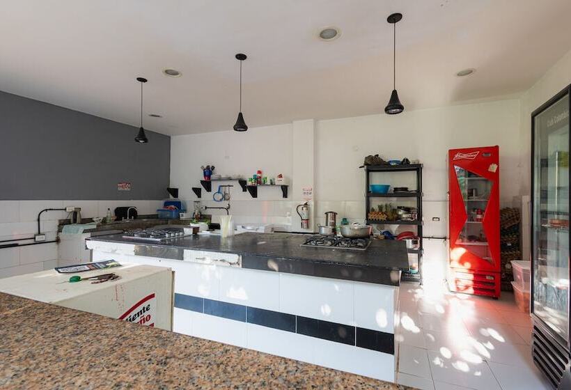 酒店 Media Luna Hostel