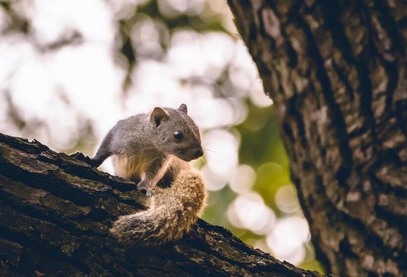 فندق Millennium Resort Hangzhou