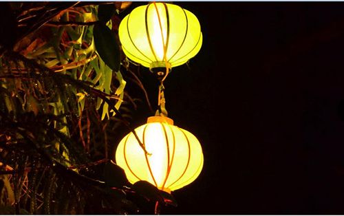 هتل The Hoi An Orchid Garden Villas