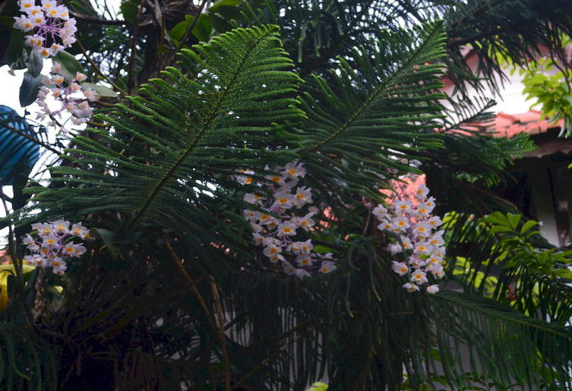 هتل The Hoi An Orchid Garden Villas