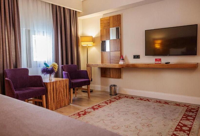 ホテル Ramada by Wyndham Cappadocia