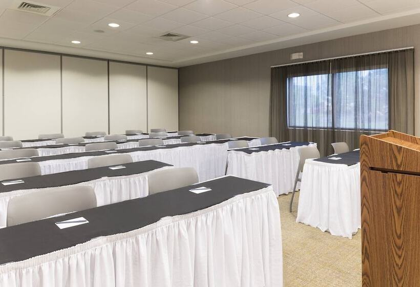 בית מלון כפרי Springhill Suites Detroit Auburn Hills