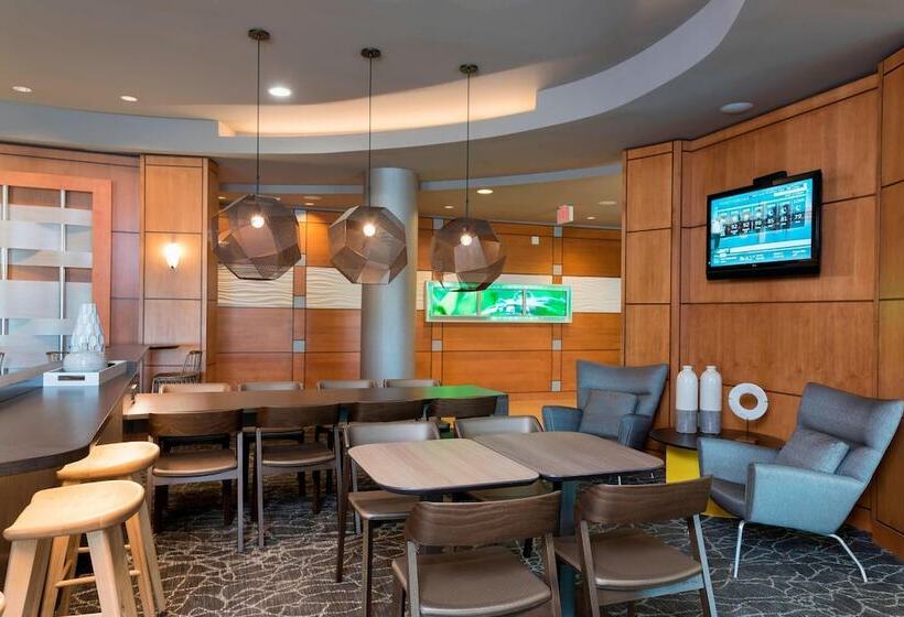 בית מלון כפרי Springhill Suites Detroit Auburn Hills