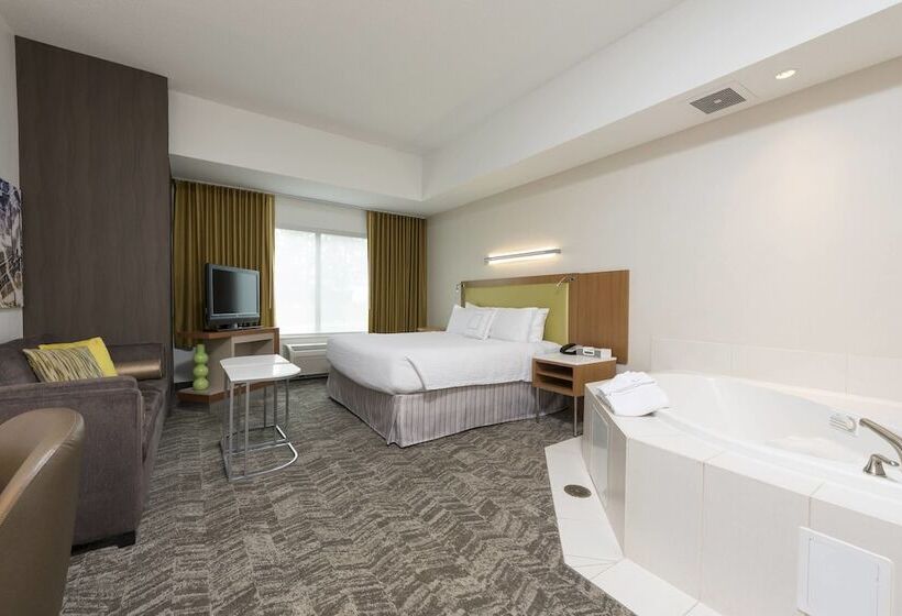 בית מלון כפרי Springhill Suites Detroit Auburn Hills
