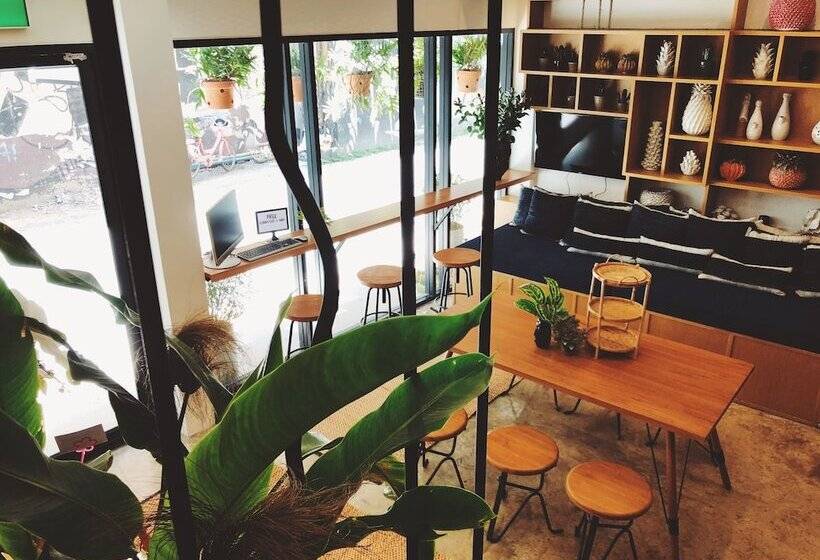 Отель Stay Thapae Hostel