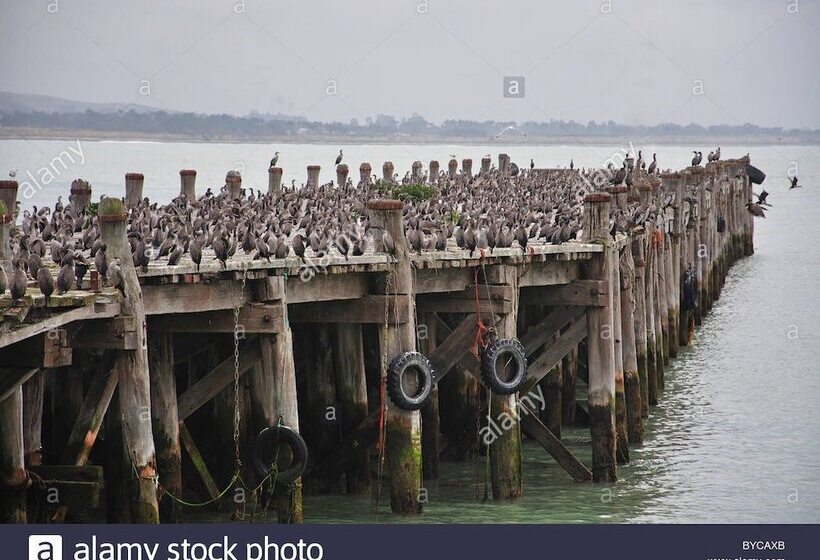 호텔 The Mews Oamaru