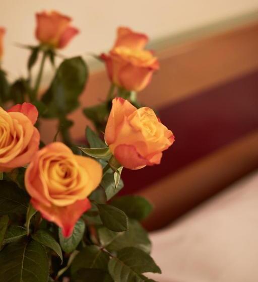 בית מלון כפרי Vila Emei