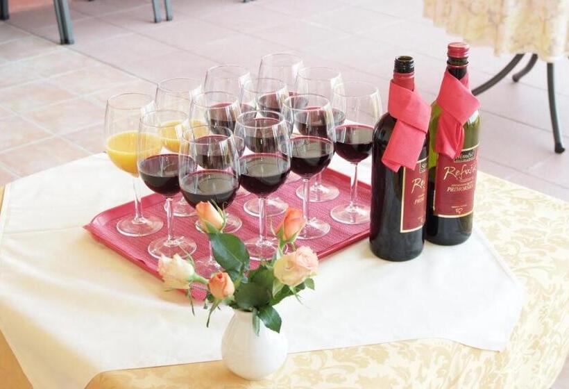 בית מלון כפרי Vila Emei