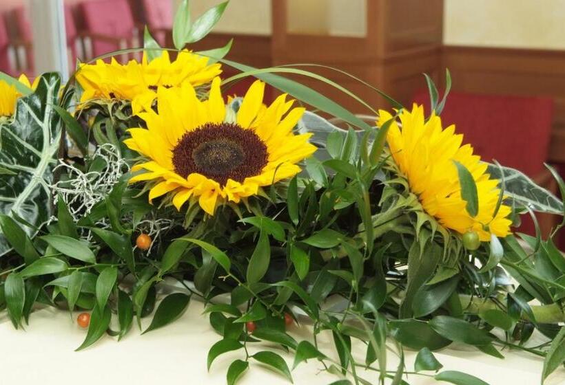 בית מלון כפרי Vila Emei