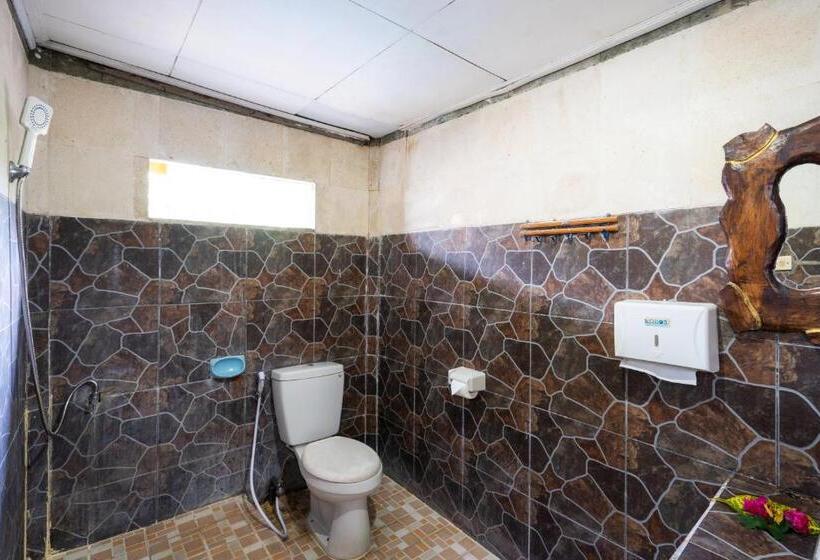 Mushroom Beach Bungalows