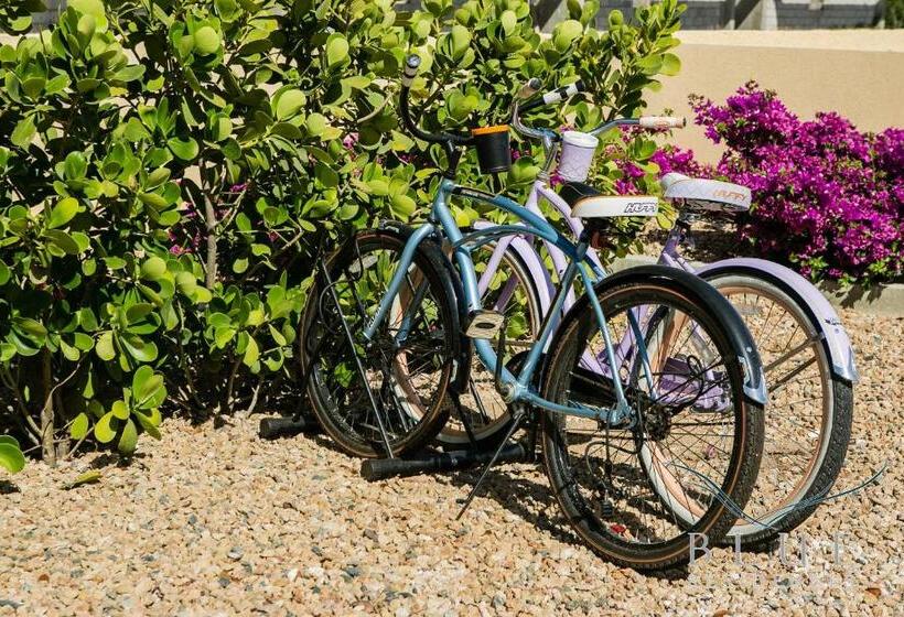 渡假胜地 Blue Residences