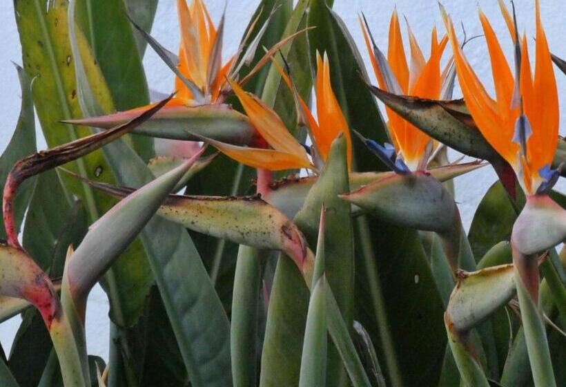 Vida Vi, Country House And B&b