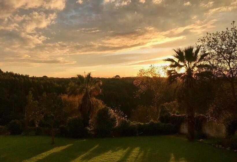 Vida Vi, Country House And B&b