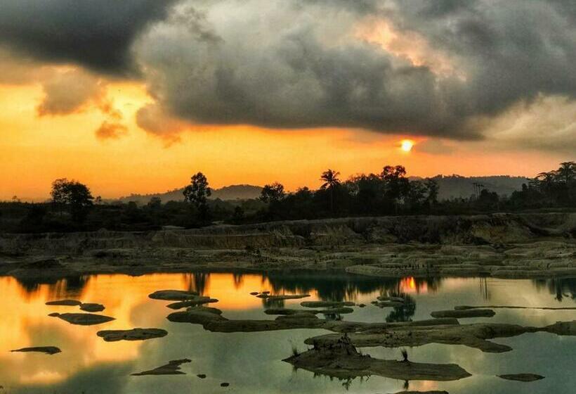 הוסטל Dric S House