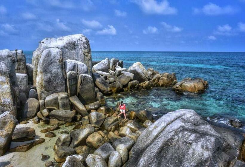 הוסטל Dric S House