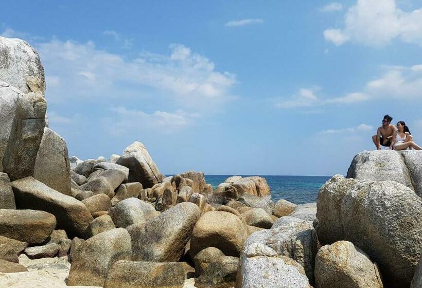 הוסטל Dric S House