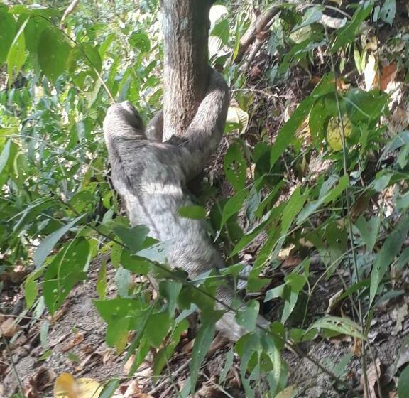 旅馆 Las Mañanitas De La Sierra