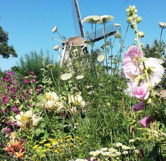 مبيت وإفطار Zalk Blijven Slapen