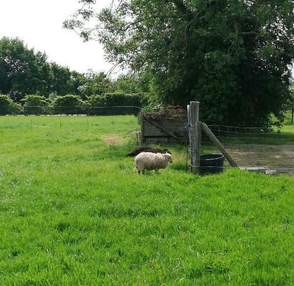 مبيت وإفطار Zalk Blijven Slapen