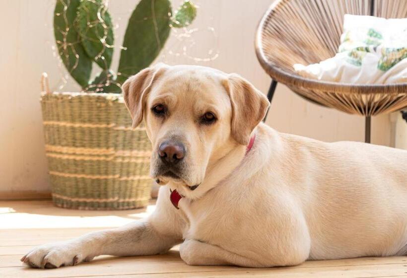 Bed And Breakfast Bric & Brac