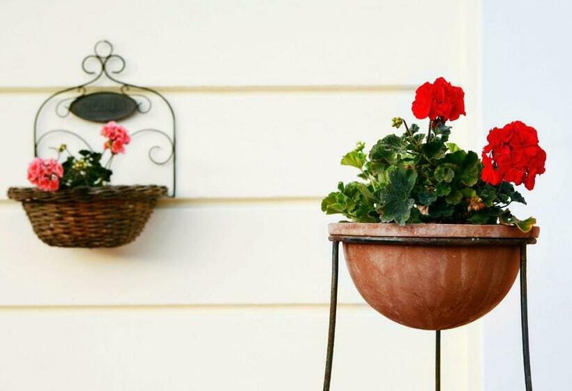 住宿加早餐  Casa Gallasso