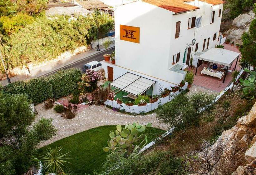 住宿加早餐  Casa Gallasso